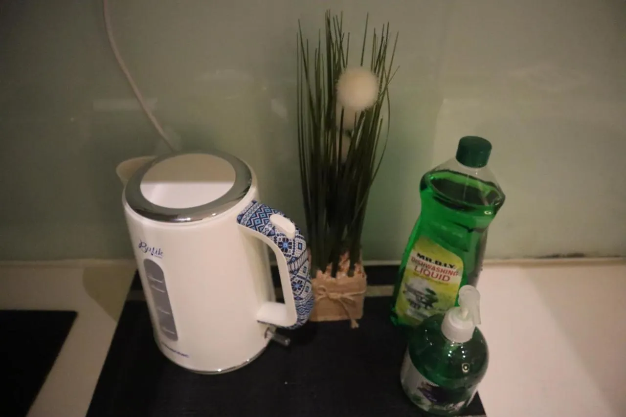 Cozy Modern Home Mount Austin Jb Miko Homestay Johor Bahru 0*,